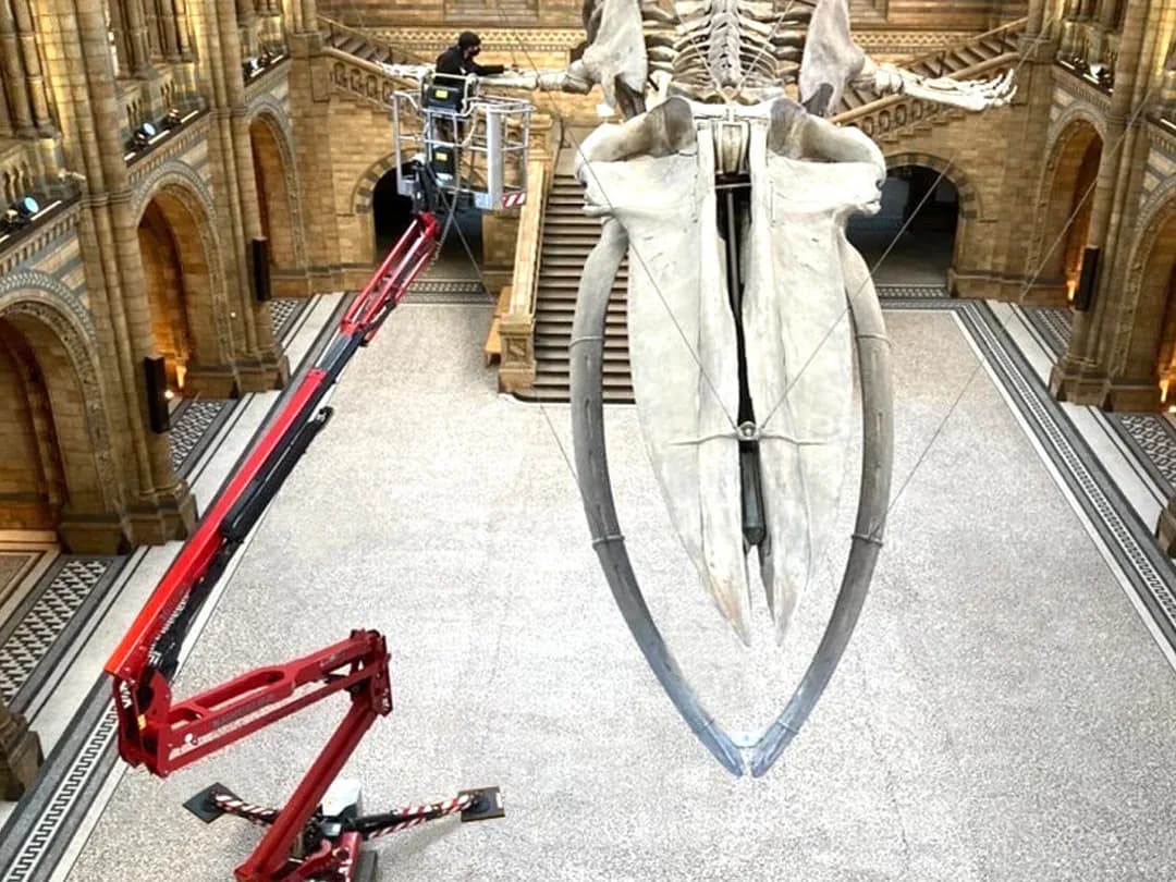 17.06m diesel spider lift